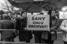 Za riešenie dopravnej situácie v Šahách protestovalo 410 ľudí, podporil ich aj primátor