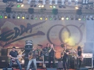 MadDogX