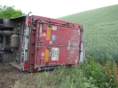 Dopravná nehoda medzi Demandicami a Šahami, uhynuli prasce, 12.6.2012
