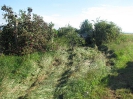 Dopravná nehoda medzi Plavými Vozokanmi a Tekovskými Lužanmi, 27.8.2012