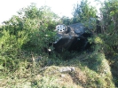 Dopravná nehoda medzi Plavými Vozokanmi a Tekovskými Lužanmi, 27.8.2012