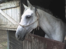 Fatima, Čata, 5.4.2012