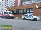 Úmrtie žeby na Ulici Zd.Nejedlého v Leviciach, 27.8.2012