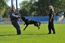 Polícia a hasiči deťom, Nitra, 25.5.2012