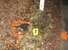 Pátranie po bezohľadnom vodičovi, ktorý zrazil chodca a z miesta ušiel, 22.12.2011