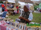Jarmok na husacom pľaci, Baďan, 23.7.2011