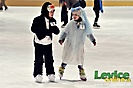 Karneval detí na ľade 2013, Levice, 17.2.2013