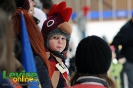 Karneval na ľade