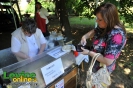 Levické hradné slávnosti 2011