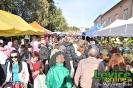 Levický tradičný jarmok 2011