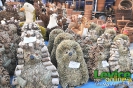 Levický tradičný jarmok 2011