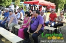 Rybací piknik 2012, 25.8.2012, Levice