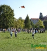 Šarkaniáda Levice 2011