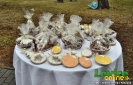 Vianoce na hrade 2011, Levice, 10.12.2011
