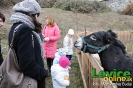 Vianoce na hrade 2011, Levice, 10.12.2011