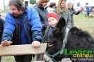 Vianoce na hrade 2011, Levice, 10.12.2011