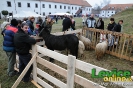 Vianoce na hrade 2011, Levice, 10.12.2011