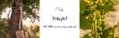 FineStyle_3
