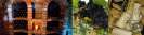 FineStyle_4