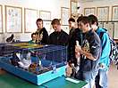 Deň otvorených dverí SOŠ PaSV Levice 2013