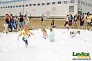 Family day, ZF Slovakia, a.s., 5.7.2014