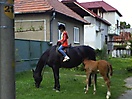 Mladá Tlmačanka úspešnou reprezentantkou v jazdectve_4