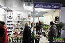 Otvorenie Dituria Shopping Center, Levice, 20.11.2014
