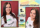 Prvá internetová Miss Levice 2012