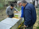 V Šahách hromadne hynú včely, 16.4.2012