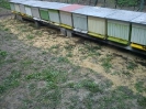V Šahách hromadne hynú včely, 16.4.2012