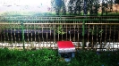 Vandalizmus v Leviciach prekvitá, odhodené odpadkové koše v parku
