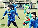 FK Slovan Levice - MFK Nová Baňa, 28.2.2016
