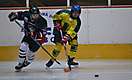 HK Levice, 24.1.2016