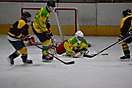 HK Levice – EC Wienna Tigers, 30.11.2014