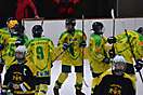 HK Levice – EC Wienna Tigers, 30.11.2014