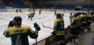 Hokejisti Levíc druhý barážový zápas o 1. ligu prehrali, doplatili na nepremieňanie šancí