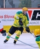 Július Beňuš, HK Levice