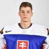 Juraj Sklenár, hráč HK Levice