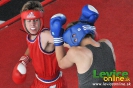2. ročník turnaja v boxe o pohár primátora mesta Levice, 16.6.2012