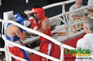 2. ročník turnaja v boxe o pohár primátora mesta Levice, 16.6.2012