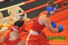2. ročník turnaja v boxe o pohár primátora mesta Levice, 16.6.2012