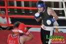2. ročník turnaja v boxe o pohár primátora mesta Levice, 16.6.2012