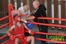 2. ročník turnaja v boxe o pohár primátora mesta Levice, 16.6.2012