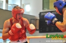 2. ročník turnaja v boxe o pohár primátora mesta Levice, 16.6.2012