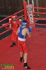 2. ročník turnaja v boxe o pohár primátora mesta Levice, 16.6.2012