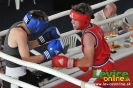 2. ročník turnaja v boxe o pohár primátora mesta Levice, 16.6.2012
