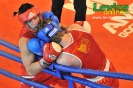 2. ročník turnaja v boxe o pohár primátora mesta Levice, 16.6.2012