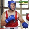 5. kolo ligy únie box klubov Slovenska, 8.9.2012, Levice