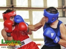 5. kolo ligy únie box klubov Slovenska, 8.9.2012, Levice