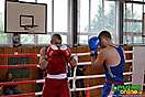 Box - 4. kolo ligy UBCS, Levice, 14.9.2013